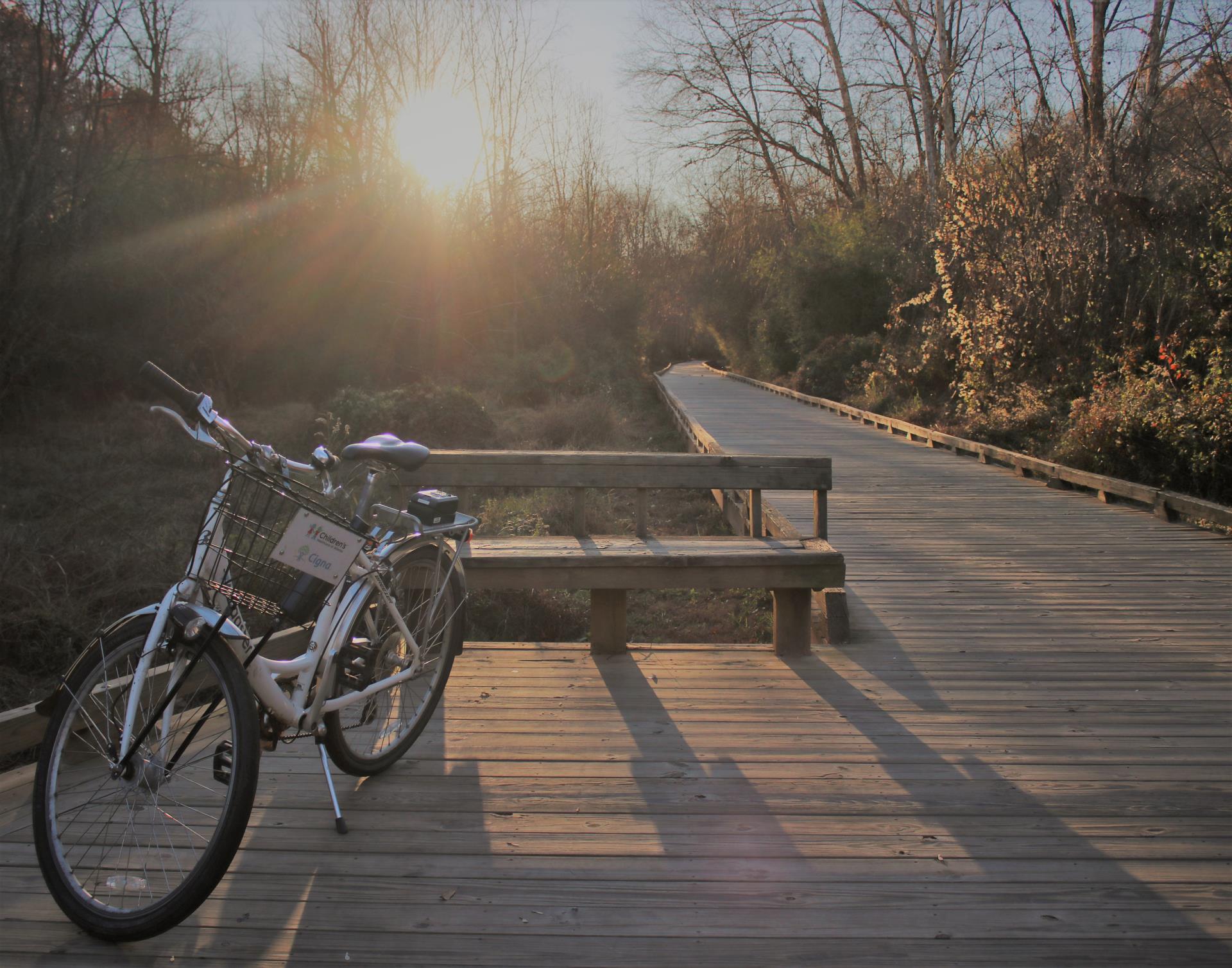 Biking Til the Sun Does Down_by Eric Rozell