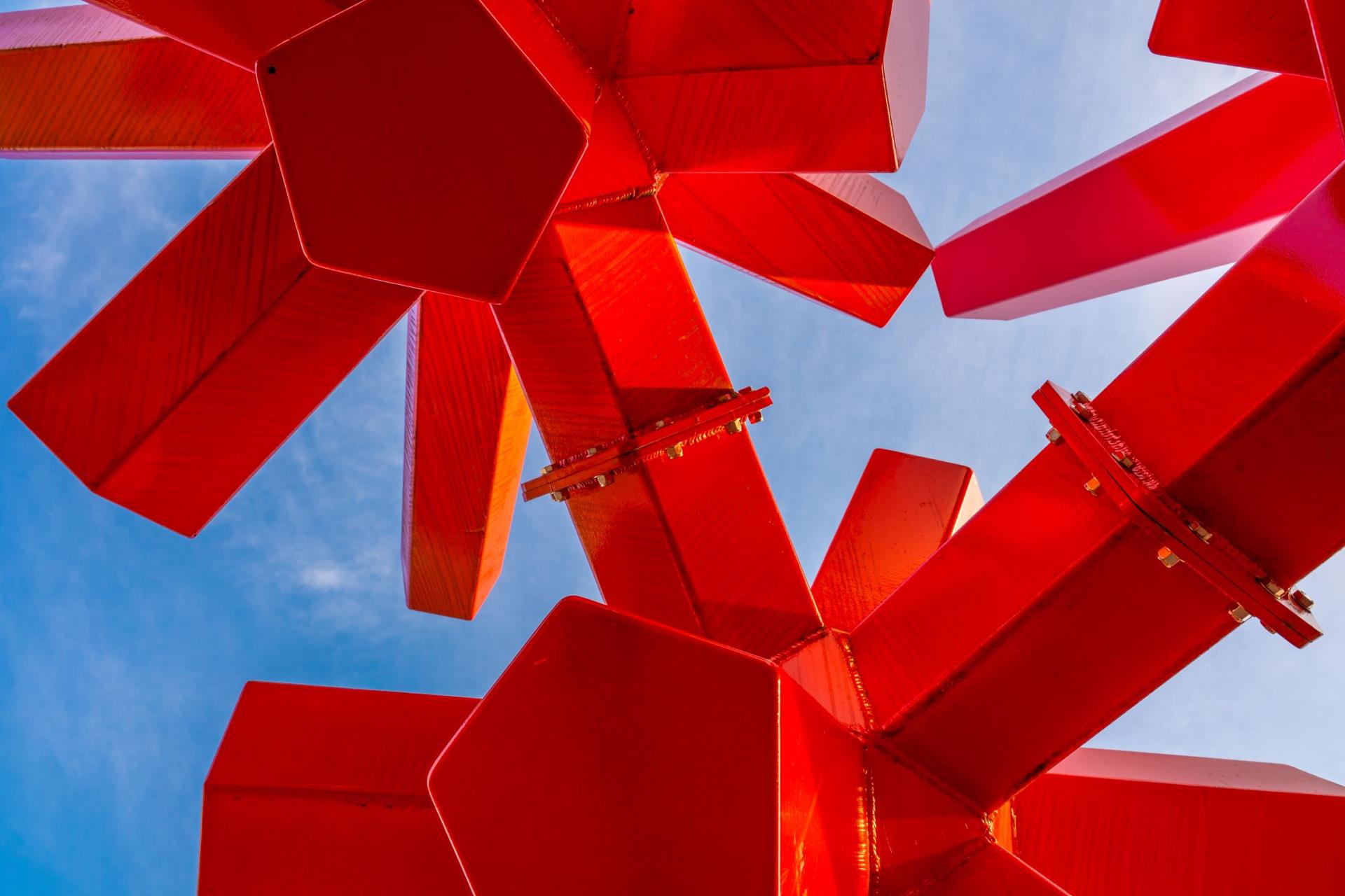 web Looking up in Suwanee, Wolfgang Enneker