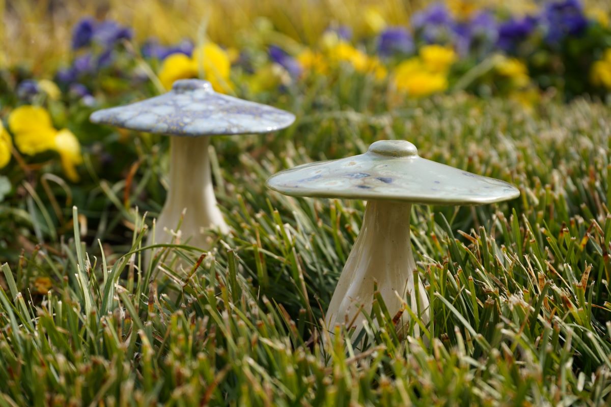 Art on a Limb mushroom