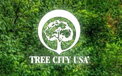 Tree City USA